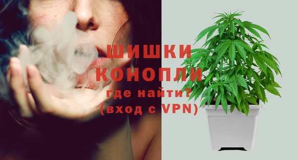 СК Михайлов
