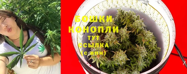МДПВ Медногорск