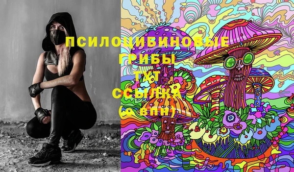 МДПВ Медногорск