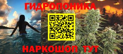мяу мяу мука Кулебаки