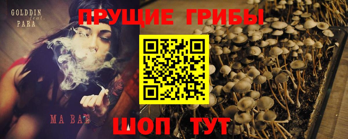 Псилоцибиновые грибы Cubensis Туймазы