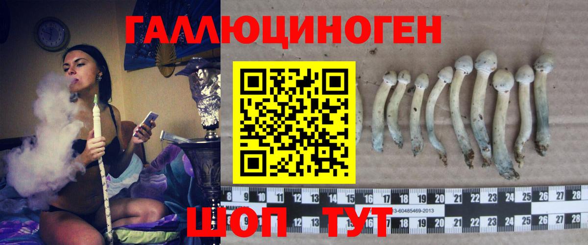 Галлюциногенные грибы мицелий  Туймазы  Псилоцибиновые грибы прущие грибы 